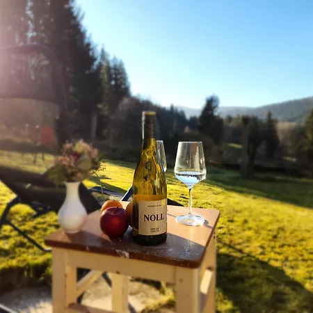 Apartmán Alte Schmiede *