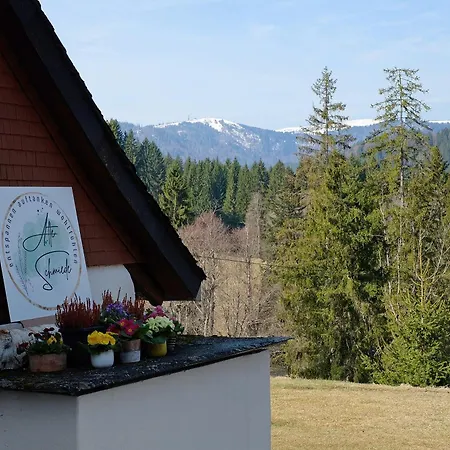 Alte Schmiede Lejlighed