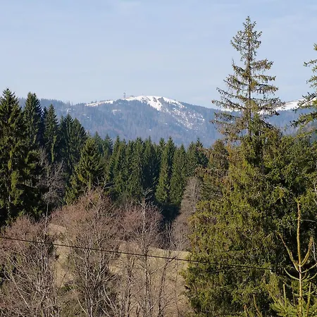 Alte Schmiede