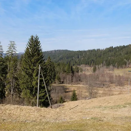 Alte Schmiede Lejlighed